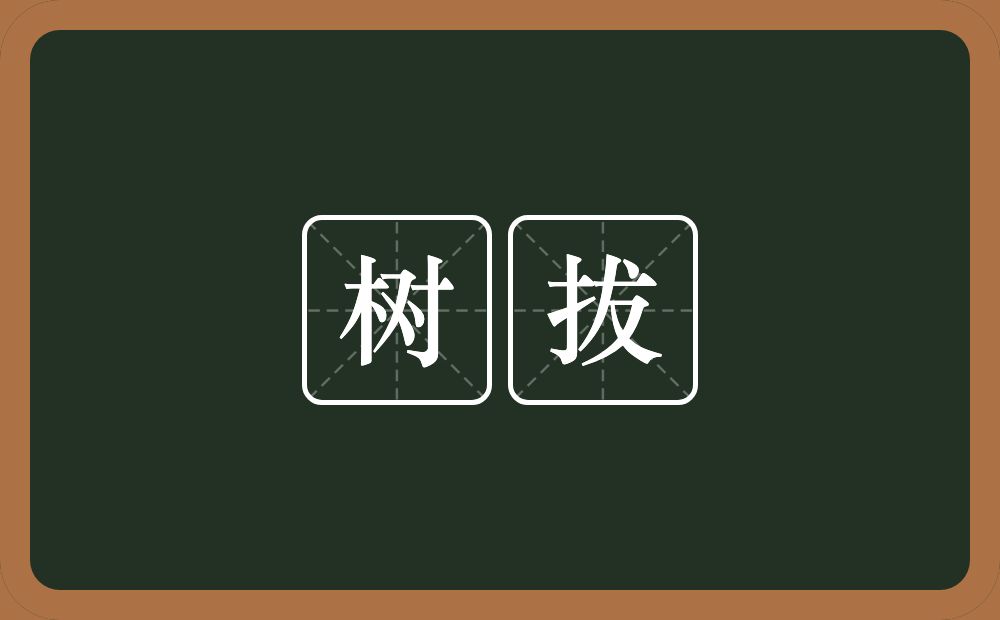 树拔的意思？树拔是什么意思？