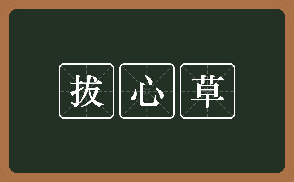 拔心草的意思？拔心草是什么意思？
