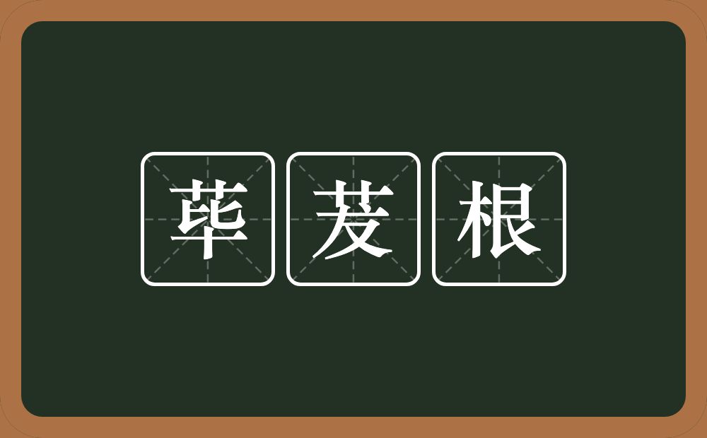 荜茇根的近义词/反义词