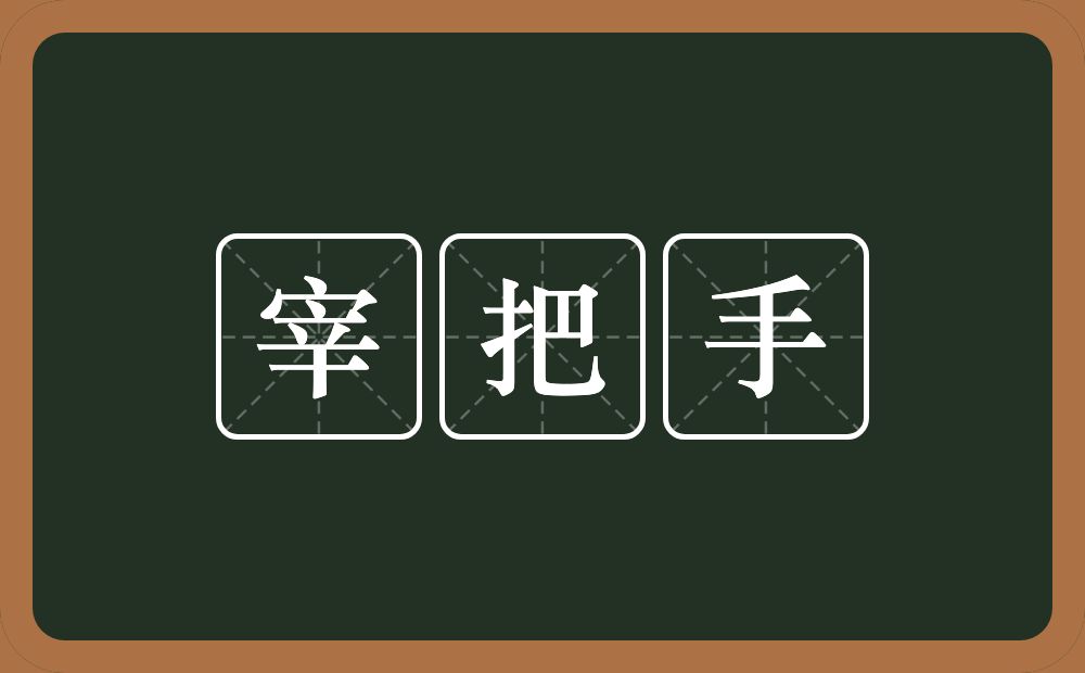 宰把手的近义词/反义词