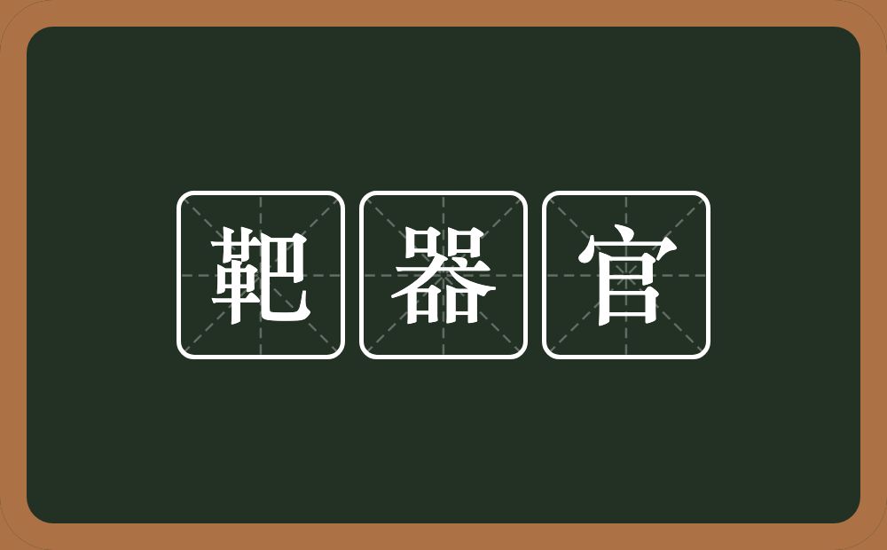 靶器官的近义词/反义词