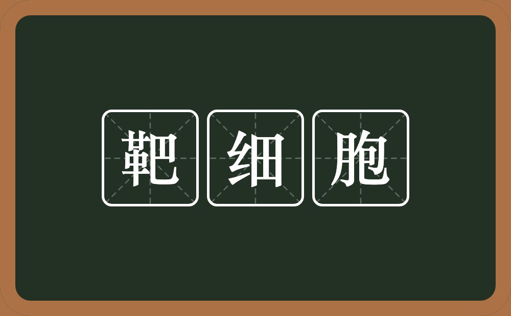 靶细胞的近义词/反义词