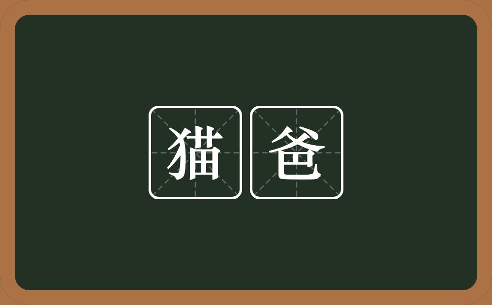 猫爸的意思？猫爸是什么意思？