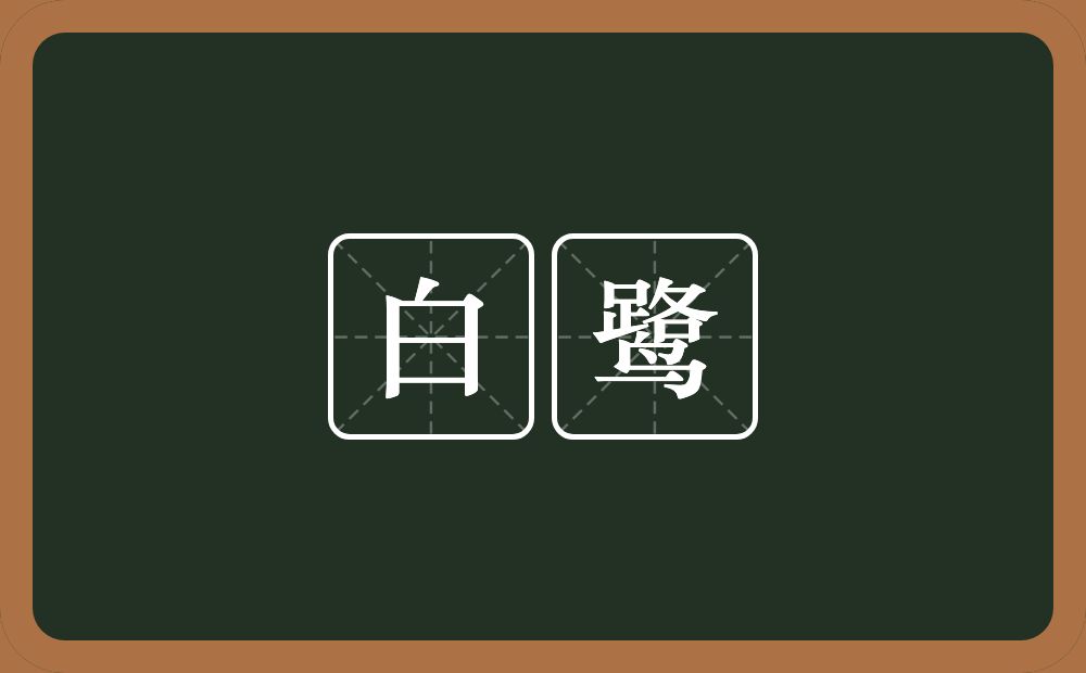 白鹭的意思？白鹭是什么意思？