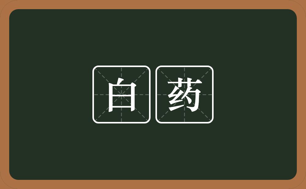 白药的近义词/反义词