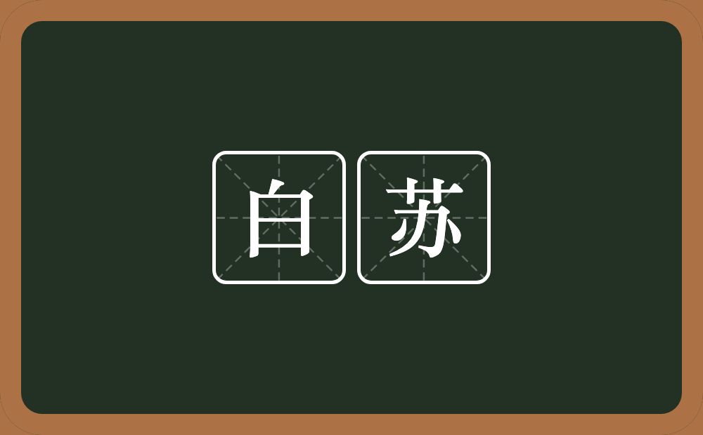 白苏的近义词/反义词