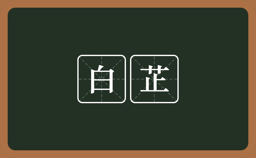 白芷的近义词/反义词