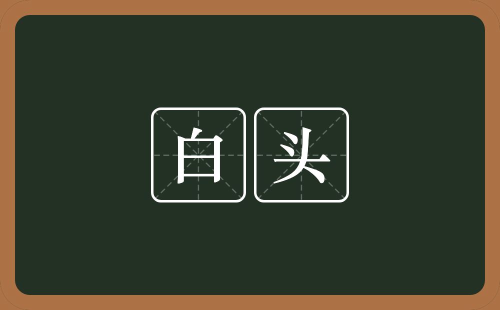 白头的近义词/反义词