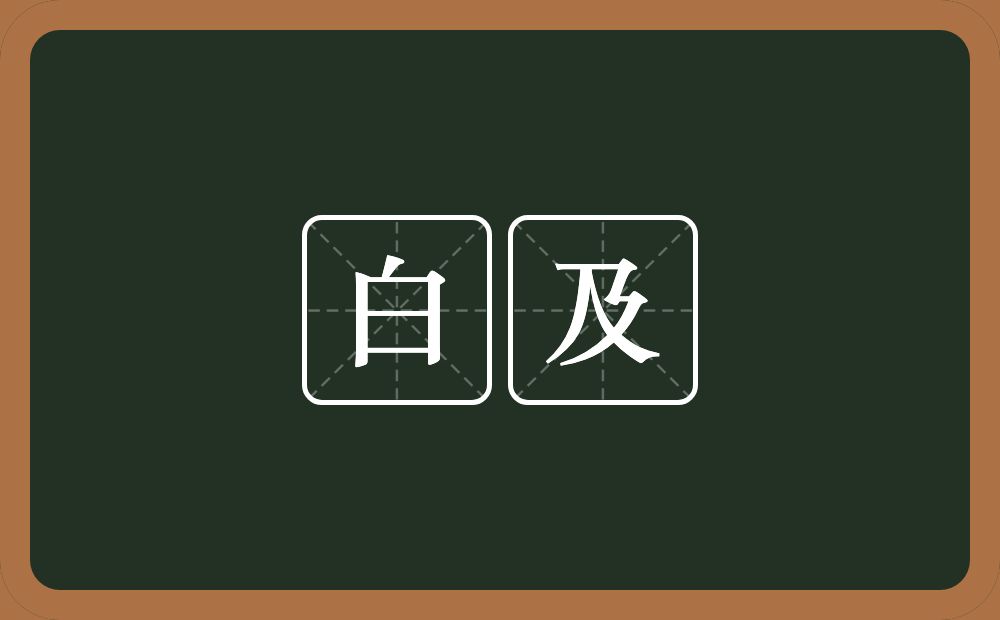 白及的近义词/反义词