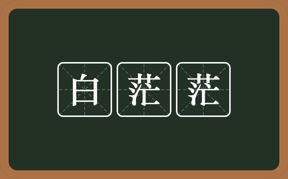 白茫茫的意思？白茫茫是什么意思？