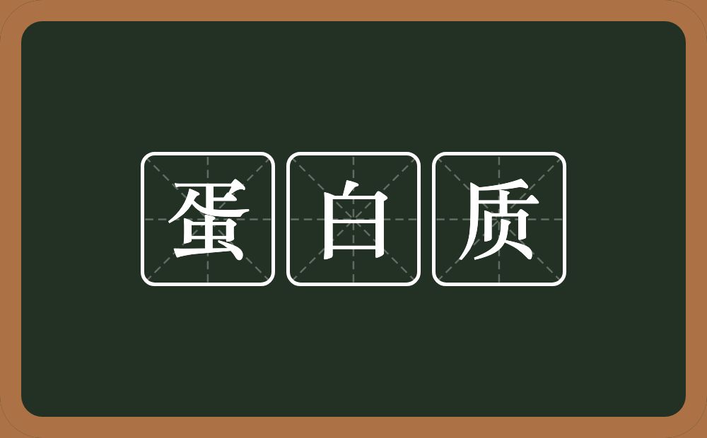 蛋白质的意思？蛋白质是什么意思？
