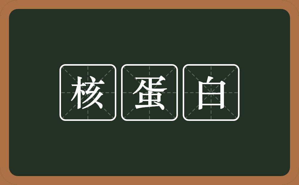 核蛋白的近义词/反义词