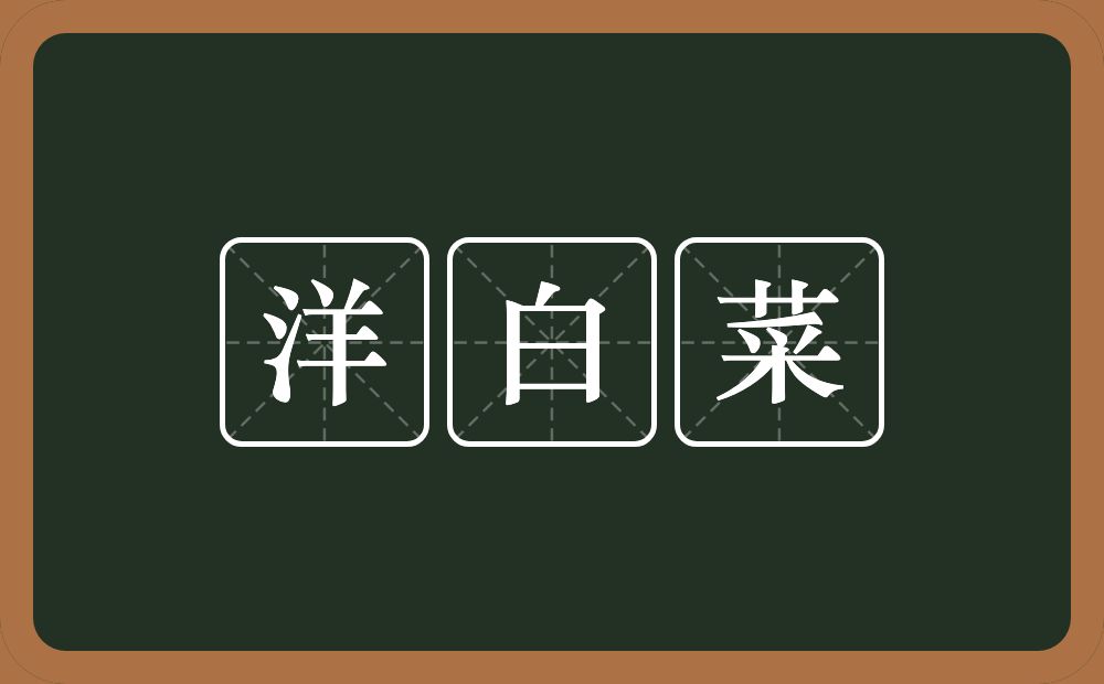 洋白菜的近义词/反义词