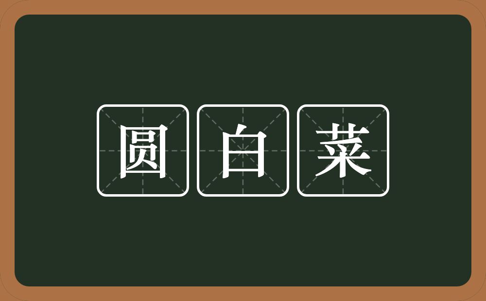 圆白菜的近义词/反义词