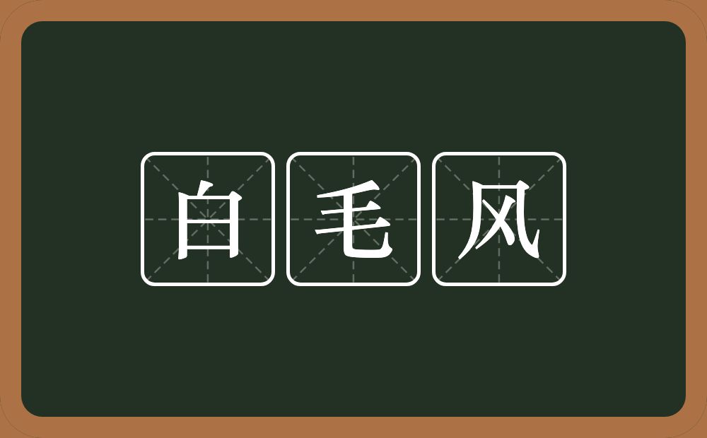 白毛风的意思？白毛风是什么意思？