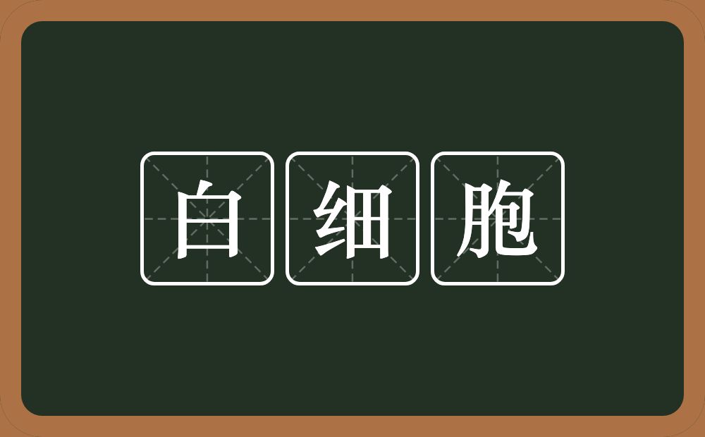 白细胞的近义词/反义词