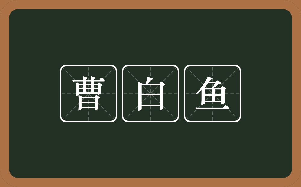 曹白鱼的近义词/反义词