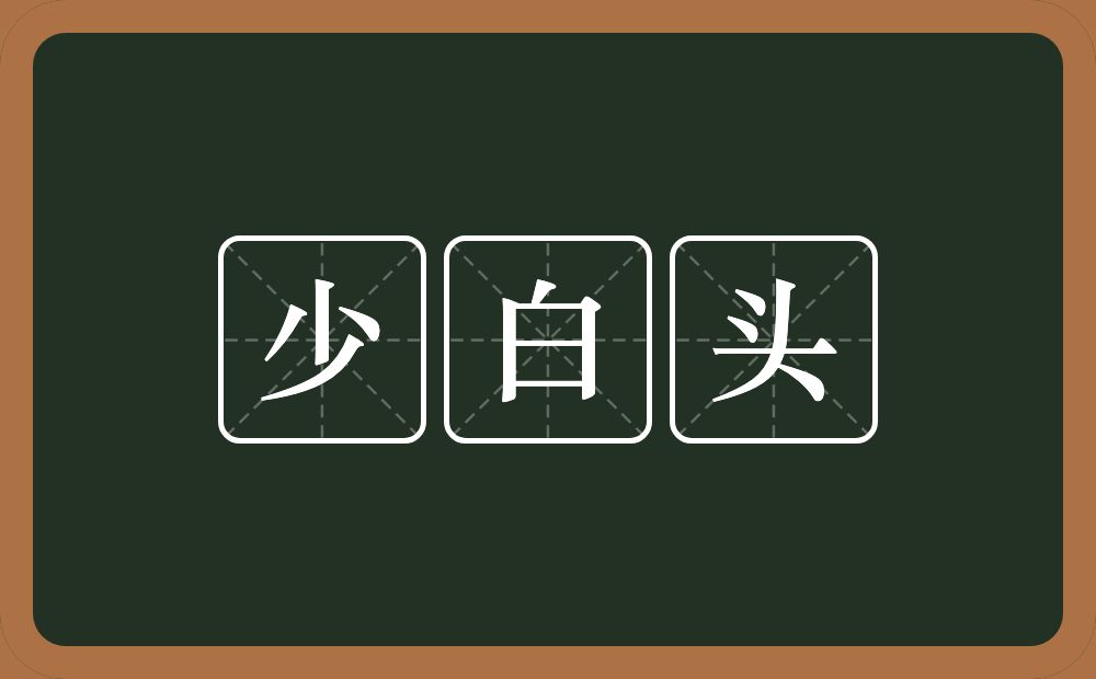 少白头的意思？少白头是什么意思？