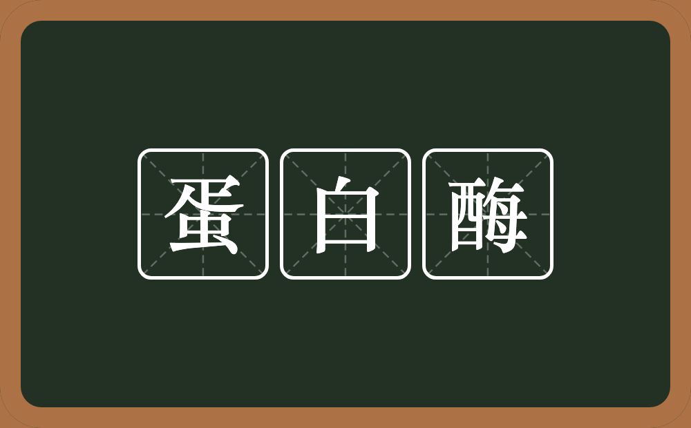 蛋白酶的近义词/反义词