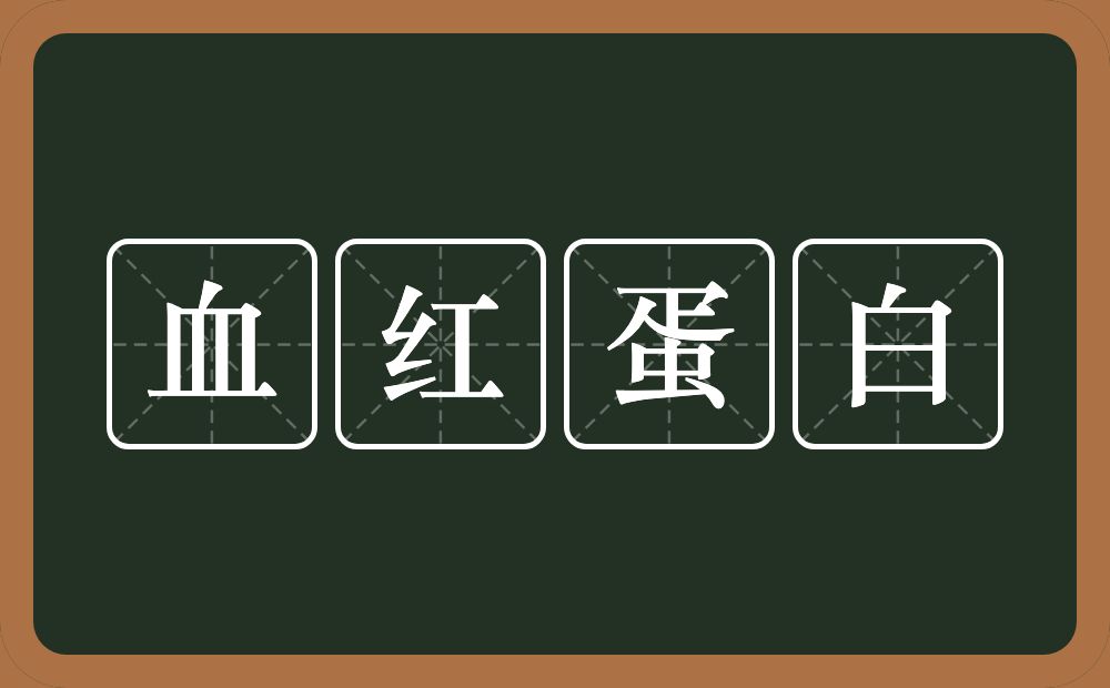血红蛋白的意思？血红蛋白是什么意思？
