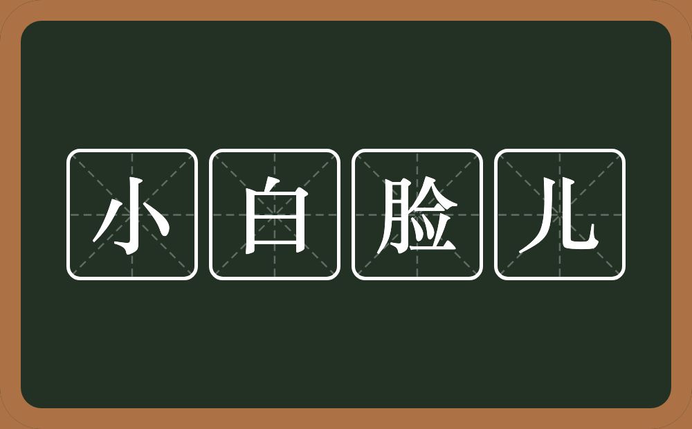 小白脸儿的近义词/反义词