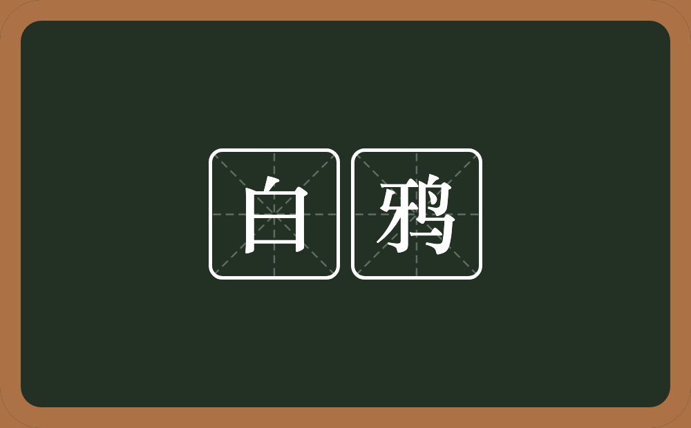 白鸦的近义词/反义词