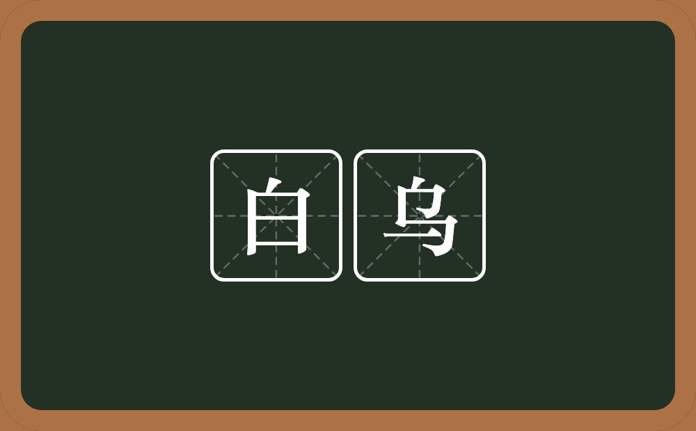 白乌的近义词/反义词