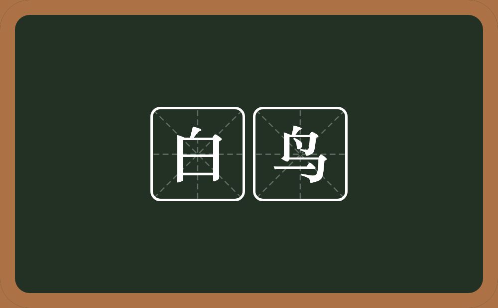 白鸟的近义词/反义词