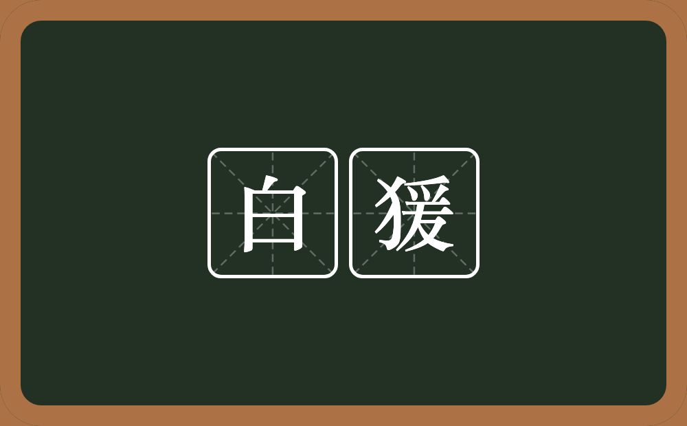 白猨的近义词/反义词