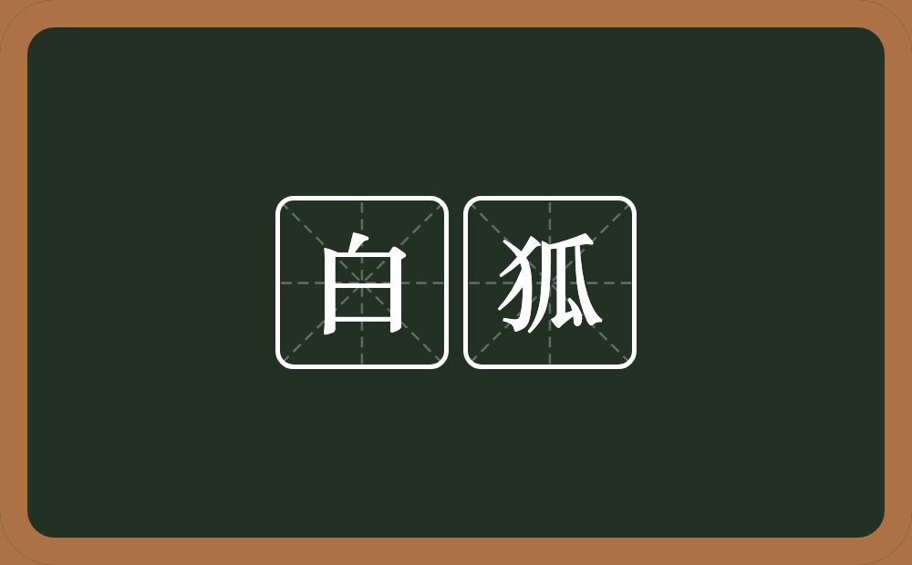 白狐的近义词/反义词