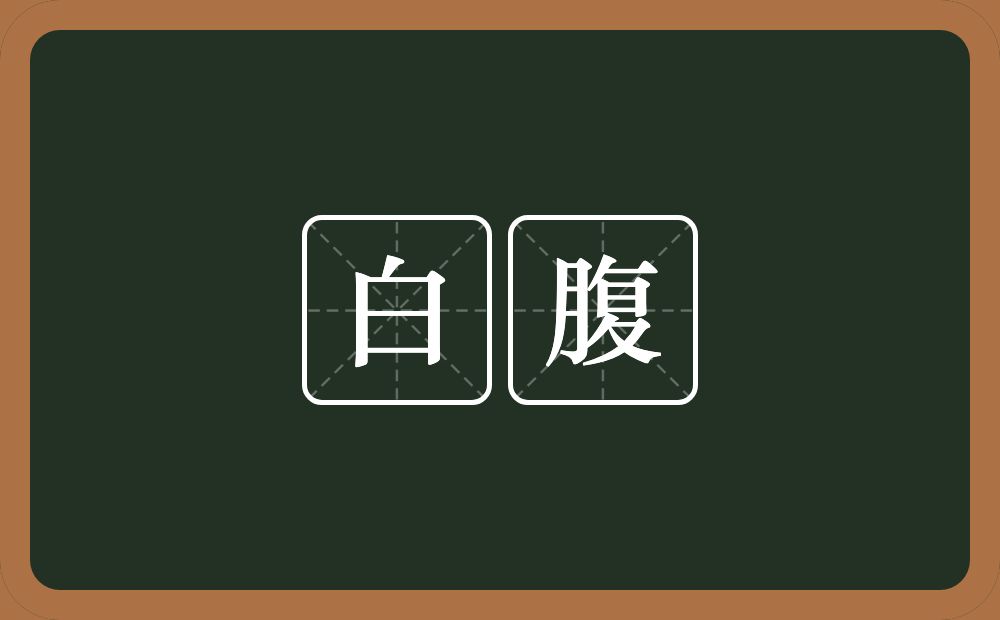 白腹的意思？白腹是什么意思？