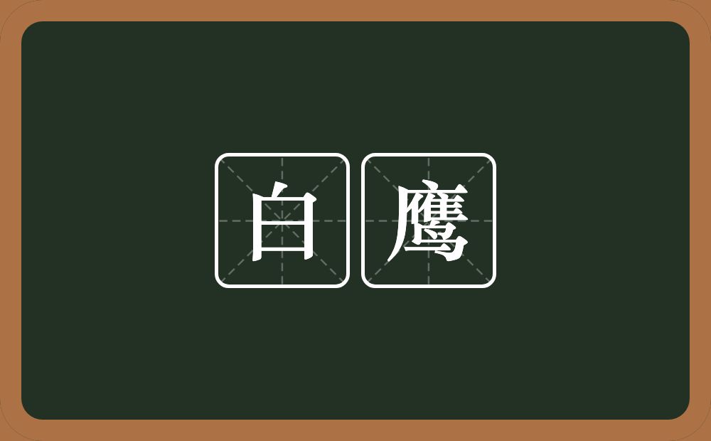 白鹰的近义词/反义词