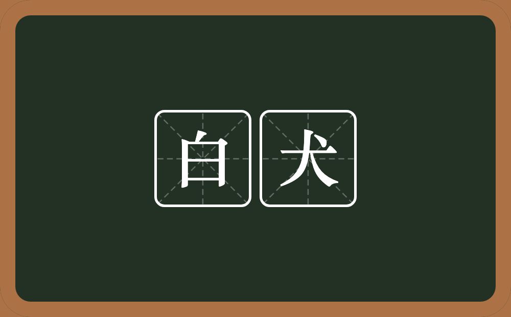 白犬的意思？白犬是什么意思？