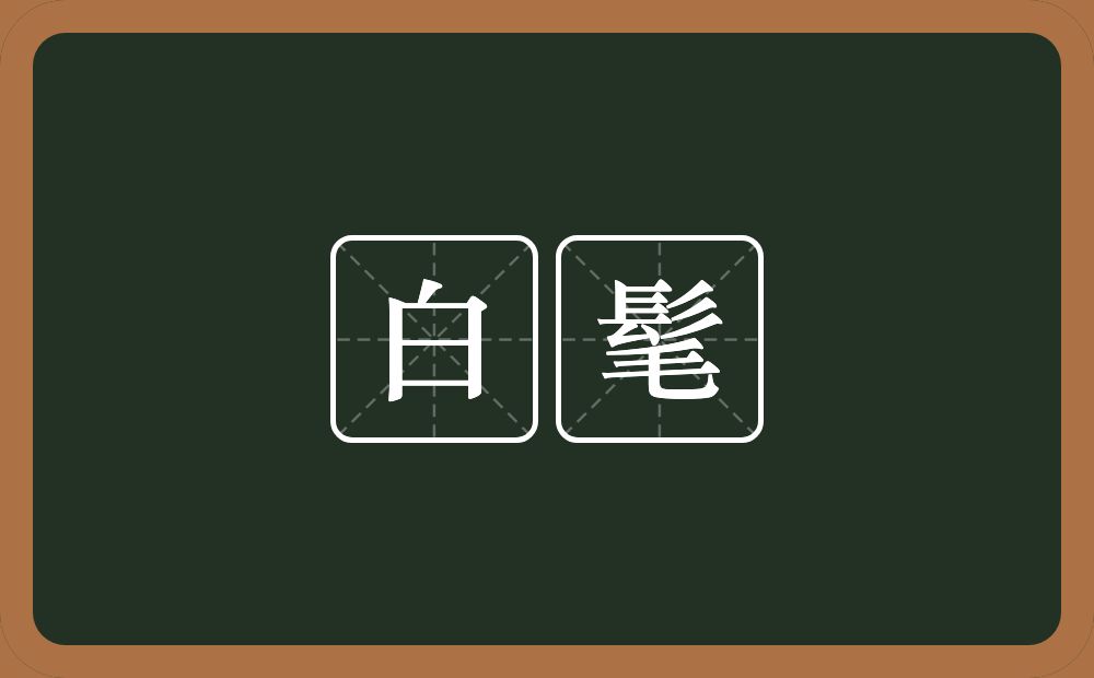 白髦的近义词/反义词