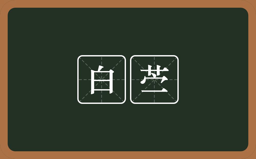 白苎的近义词/反义词