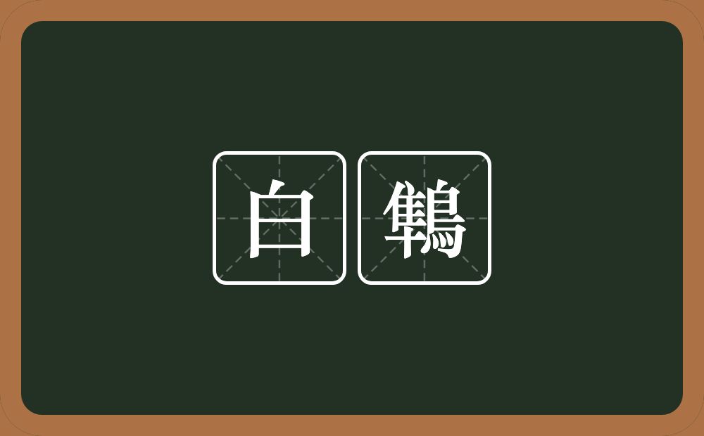 白鶽的意思？白鶽是什么意思？