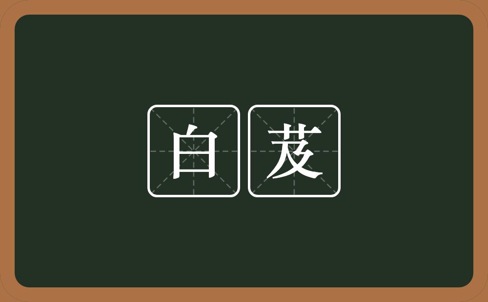 白芨的近义词/反义词