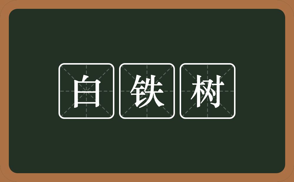 白铁树的近义词/反义词