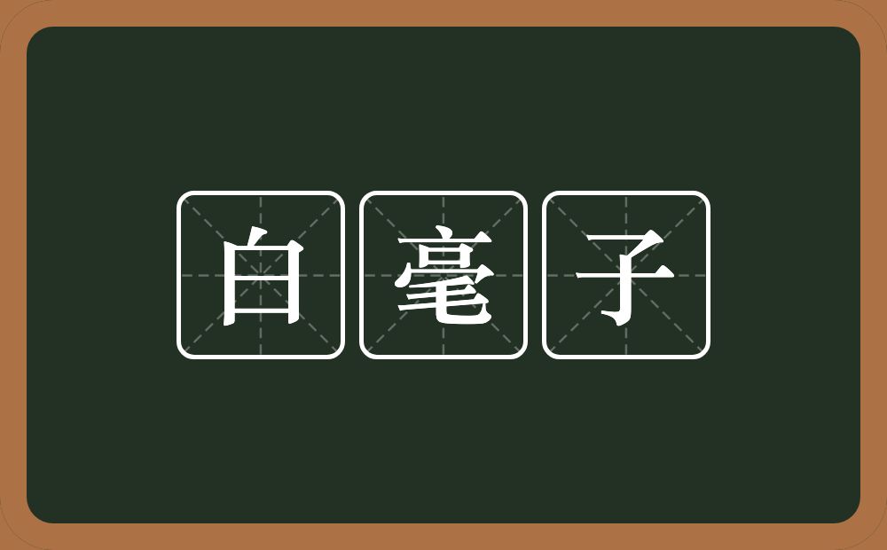 白毫子的意思？白毫子是什么意思？