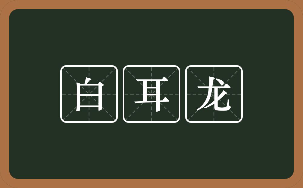 白耳龙的近义词/反义词