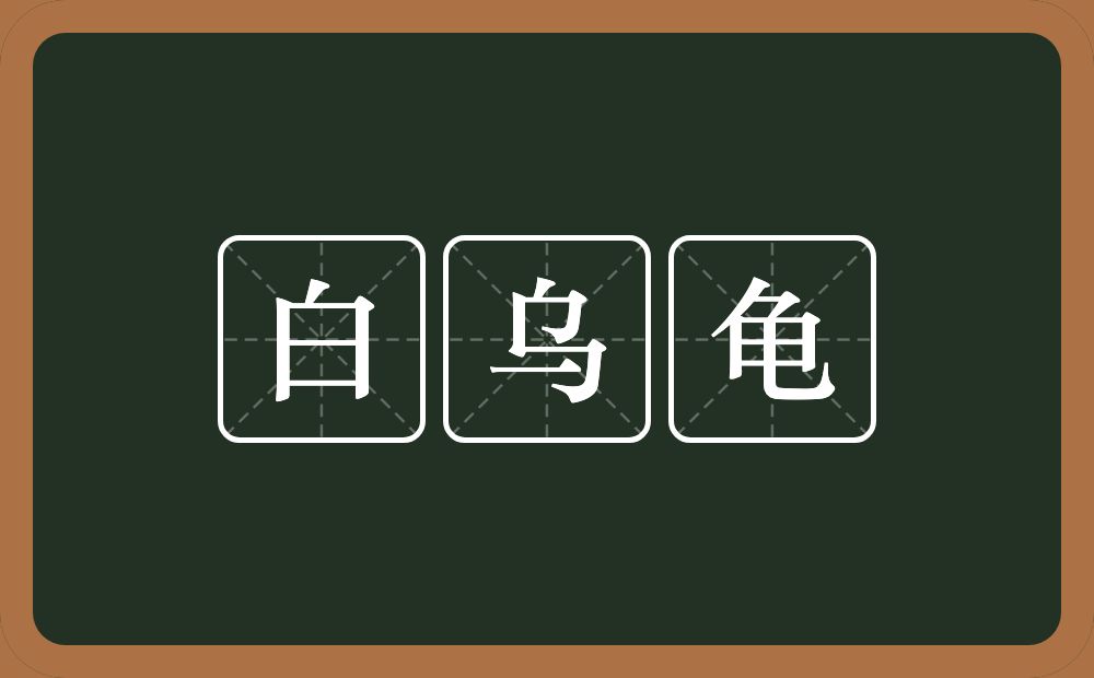 白乌龟的意思？白乌龟是什么意思？