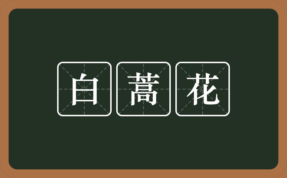 白蒿花的近义词/反义词