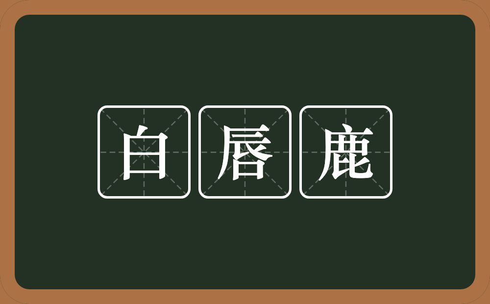 白唇鹿的意思？白唇鹿是什么意思？
