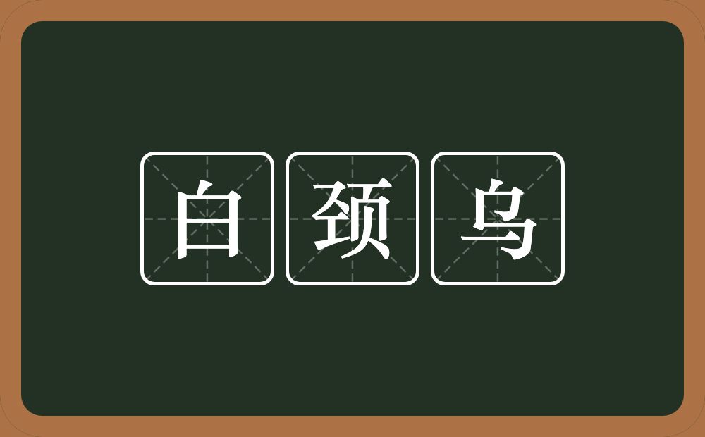 白颈乌的近义词/反义词
