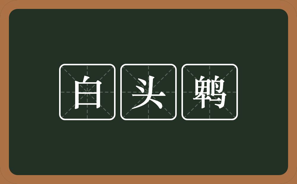 白头鹎的近义词/反义词
