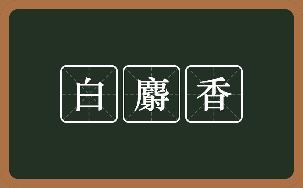 白麝香的意思？白麝香是什么意思？