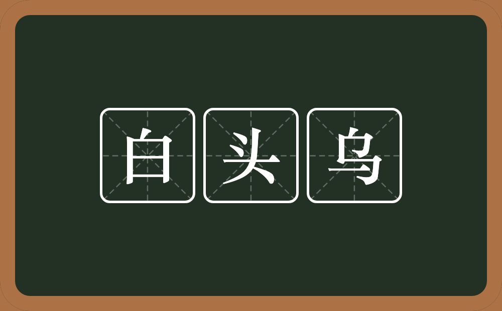 白头乌的近义词/反义词