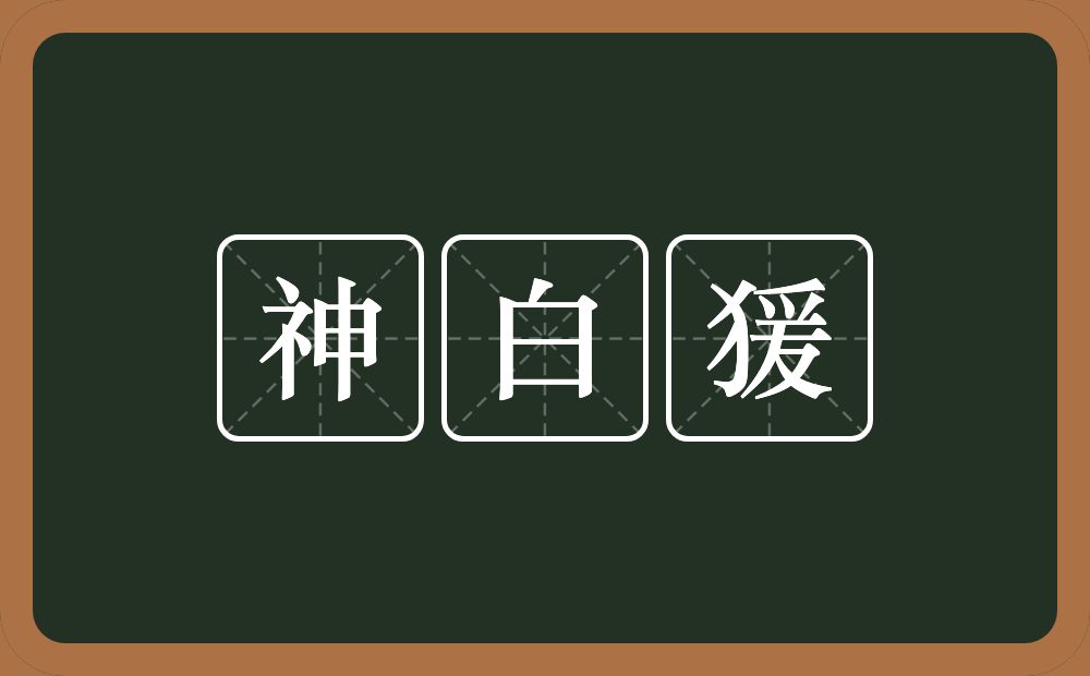 神白猨的意思？神白猨是什么意思？