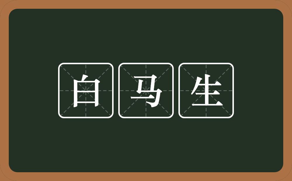 白马生的意思？白马生是什么意思？
