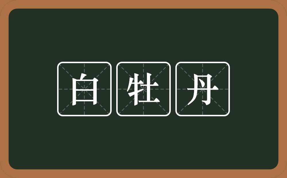 白牡丹的意思？白牡丹是什么意思？